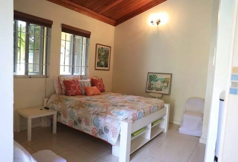 تختخواب و صبحانه Coconut Palm Hideaway