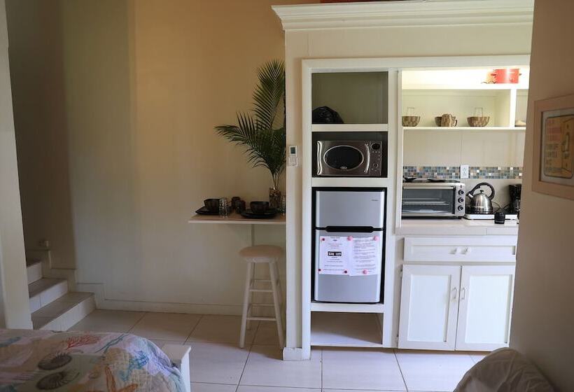 تختخواب و صبحانه Coconut Palm Hideaway