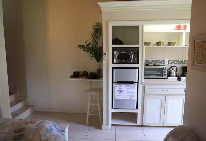 تختخواب و صبحانه Coconut Palm Hideaway