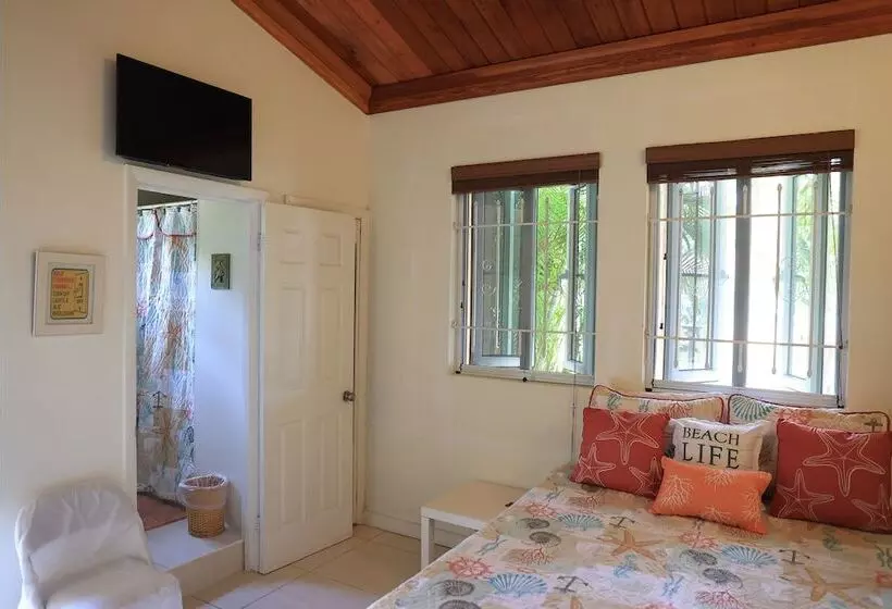 تختخواب و صبحانه Coconut Palm Hideaway