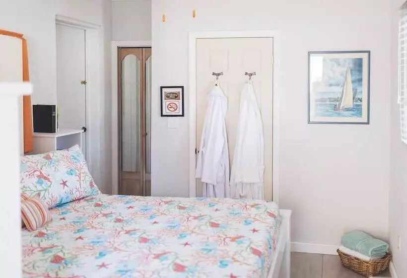 تختخواب و صبحانه Coconut Palm Hideaway