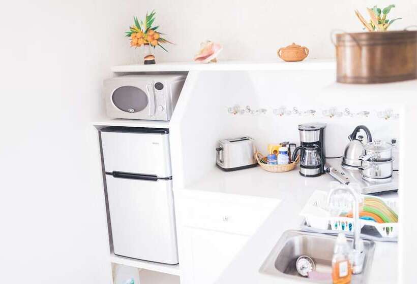 تختخواب و صبحانه Coconut Palm Hideaway