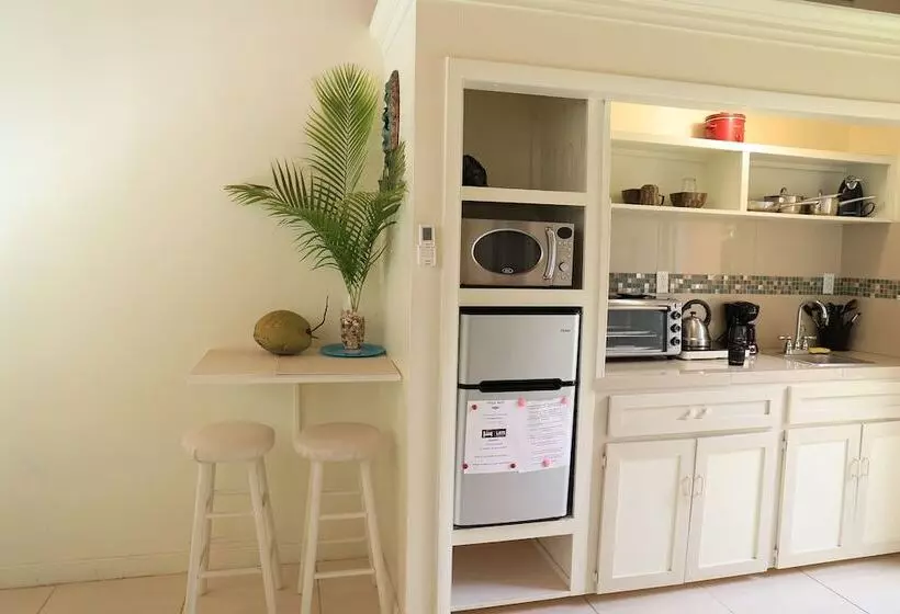 تختخواب و صبحانه Coconut Palm Hideaway