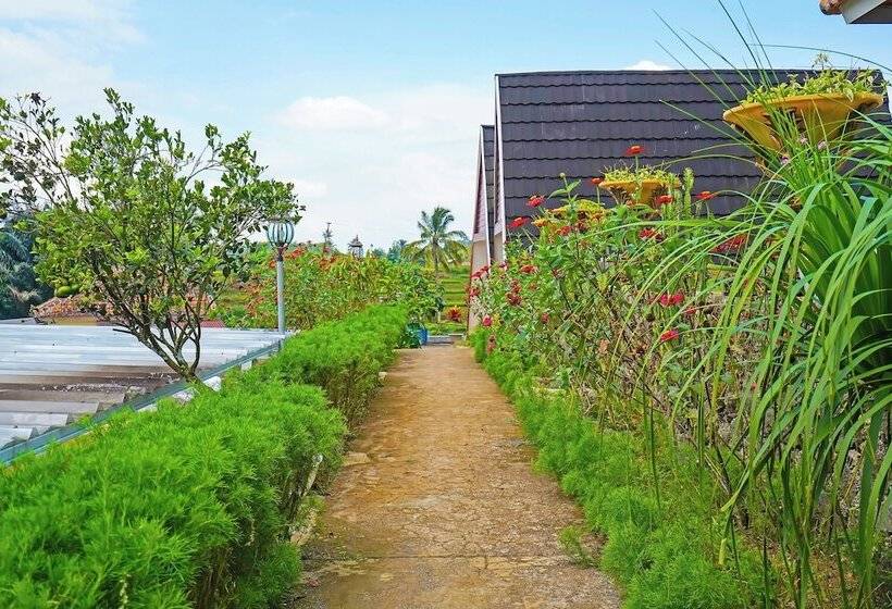 Otel Collection O 92634 Villa Ds