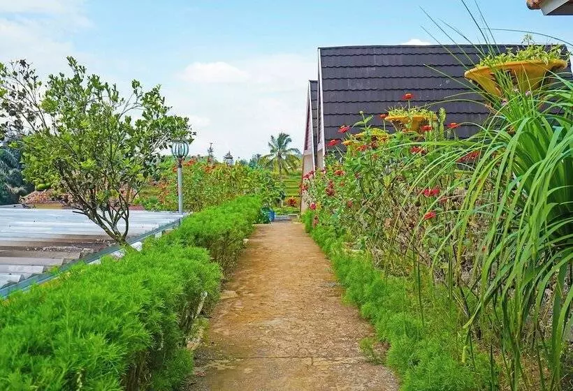 Hotel Collection O 92634 Villa Ds