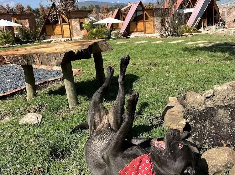 ホテル Glamping Pozo Azul
