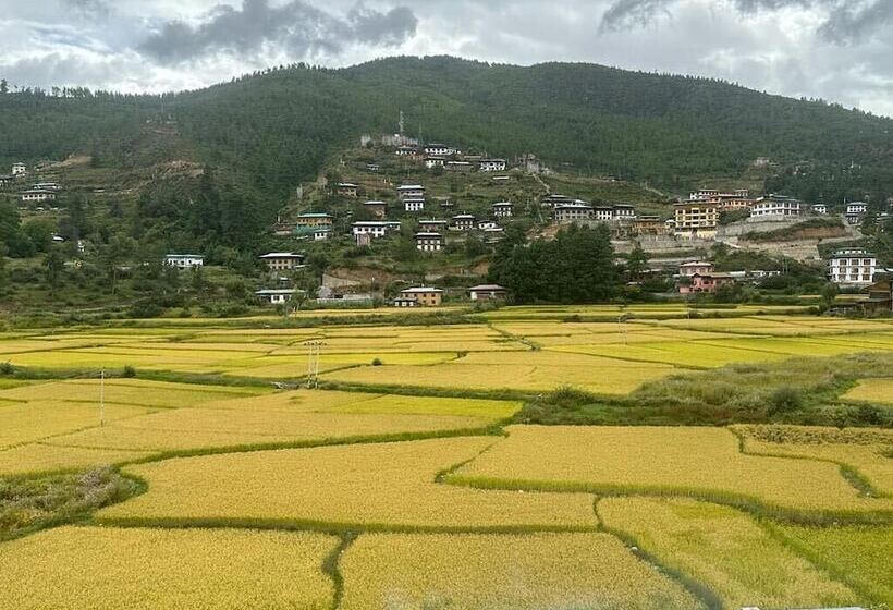 هتل Green Valley Boutique