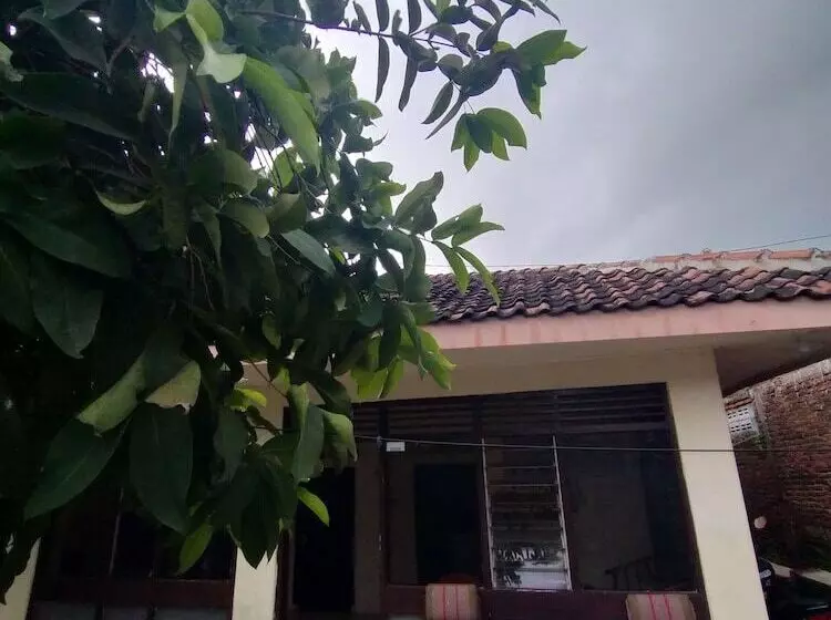 Hotel Ijen Basecamp