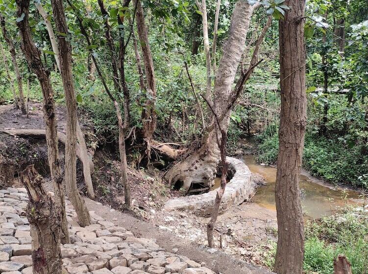 Отель Saccharum Safari Lodge