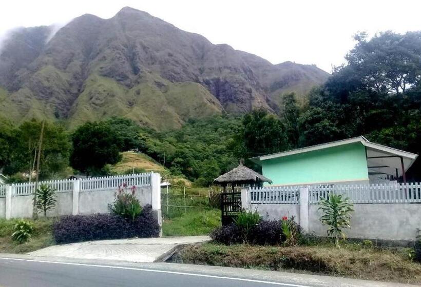 Отель Spot On 91383 Green Forest Homestay