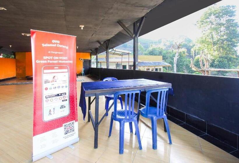 Отель Spot On 91383 Green Forest Homestay