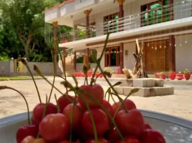هتل White Palace Resort