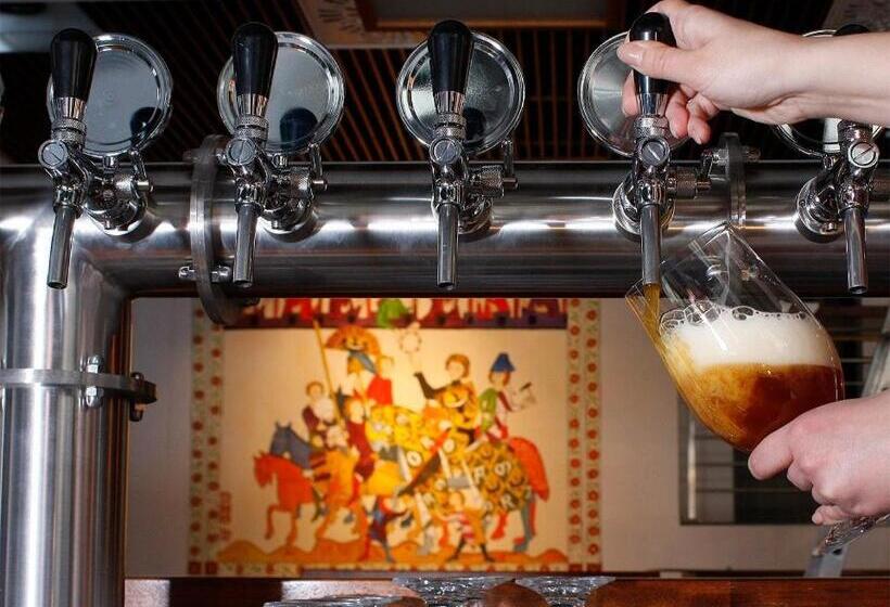 酒店 Ctkir Browar Probus