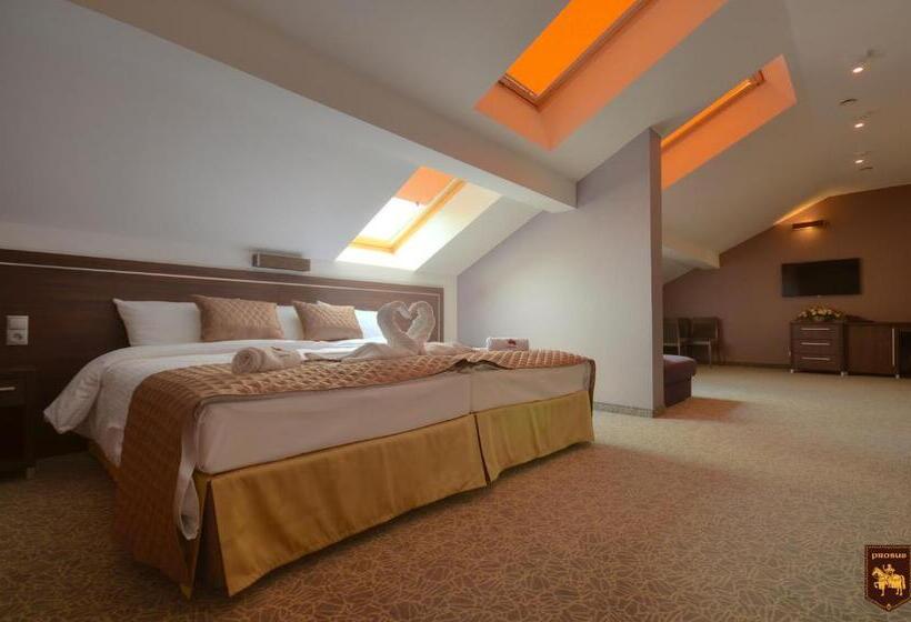 酒店 Ctkir Browar Probus