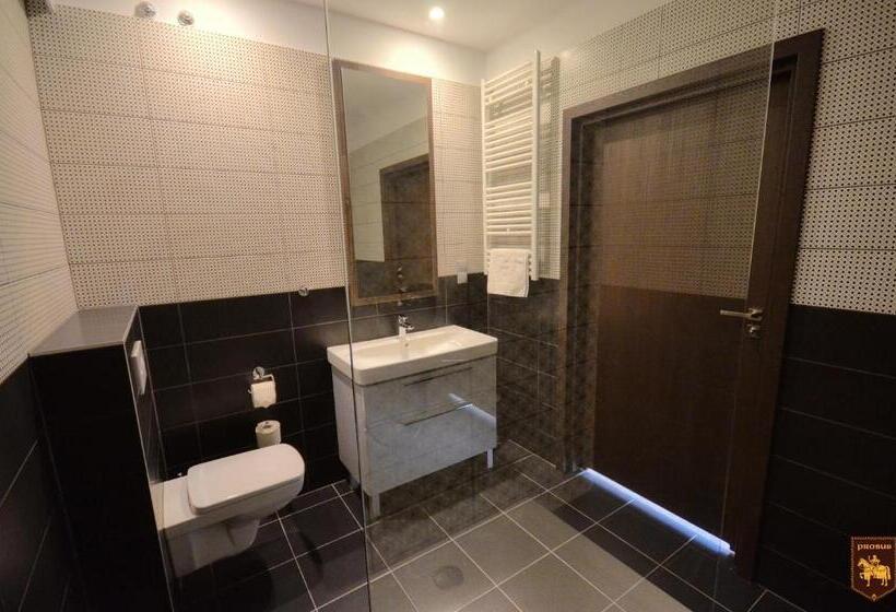 酒店 Ctkir Browar Probus