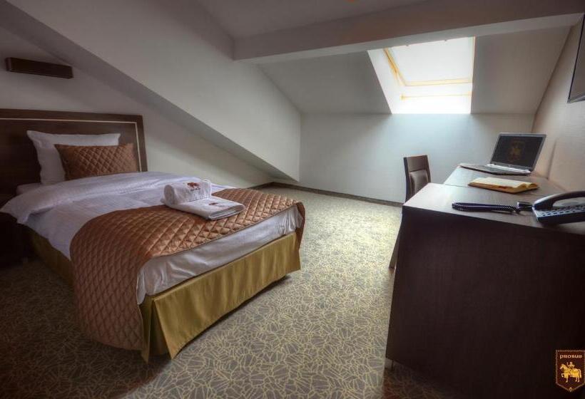 酒店 Ctkir Browar Probus