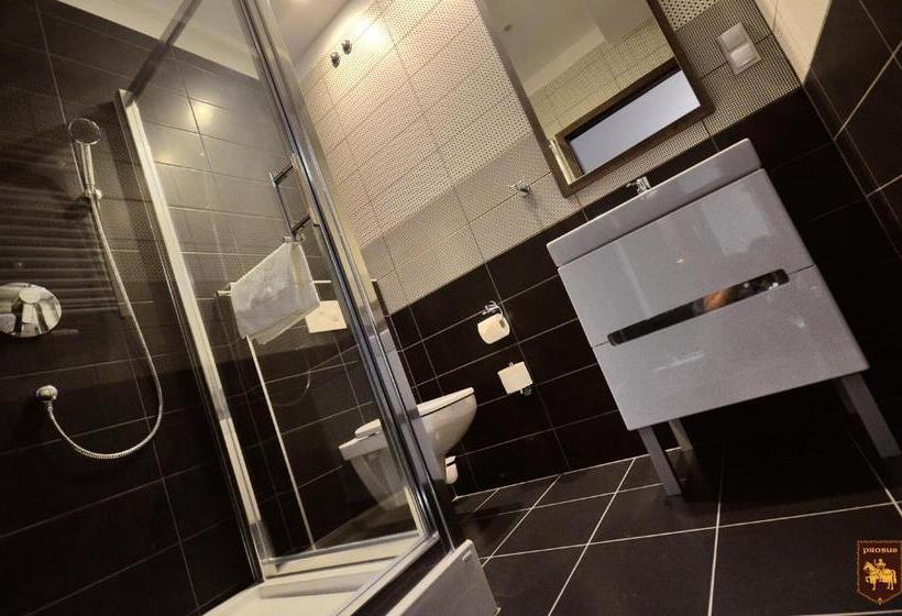 酒店 Ctkir Browar Probus