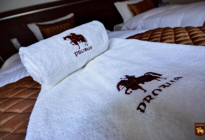 酒店 Ctkir Browar Probus