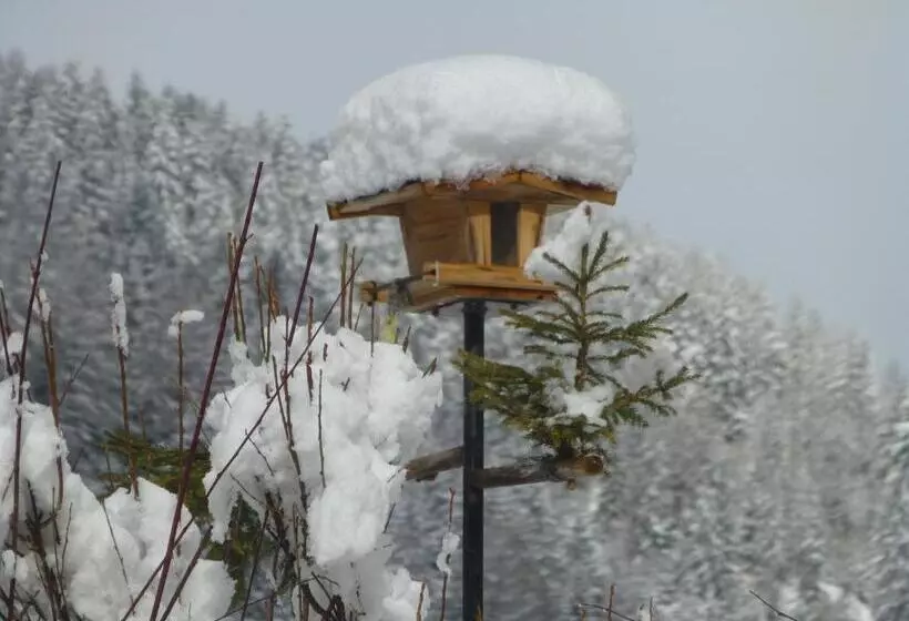 Hotelli Guesthouse Mountain View