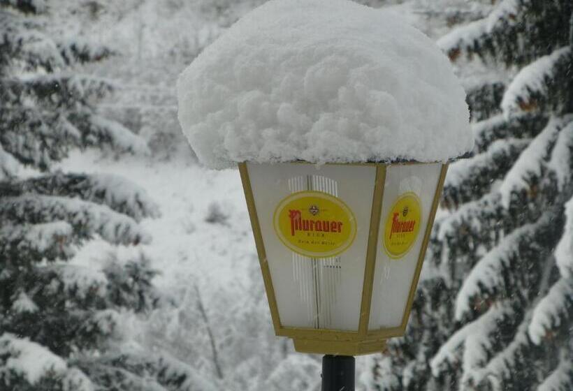 فندق Guesthouse Mountain View