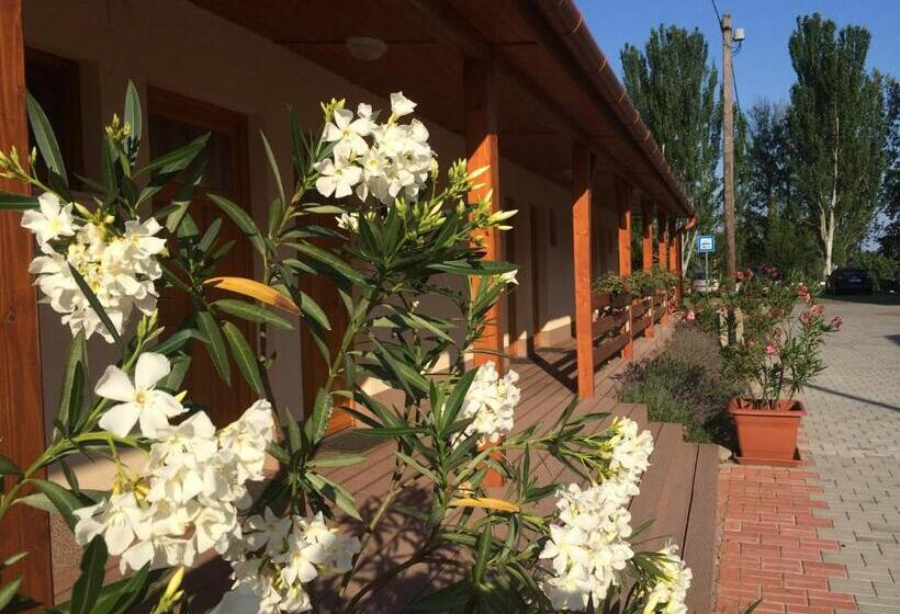 בית מלון כפרי Halászkert Badacsony