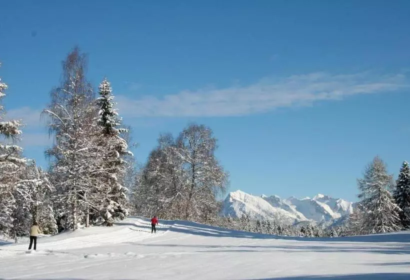 Hotelli Lärchenhof Natur