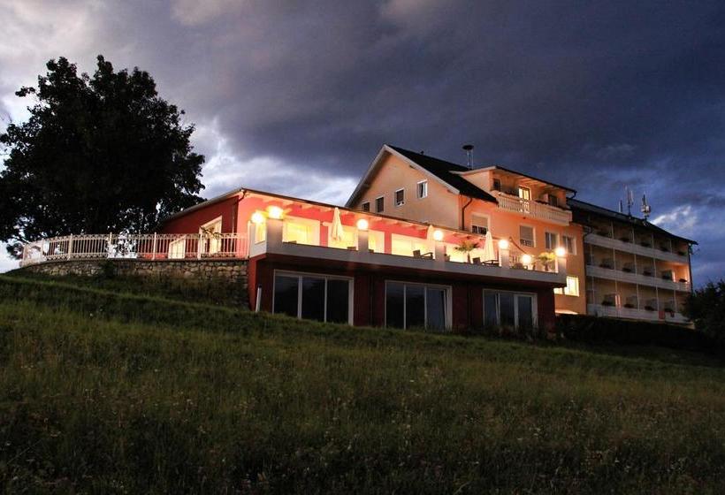 בית מלון כפרי Pension Melcher