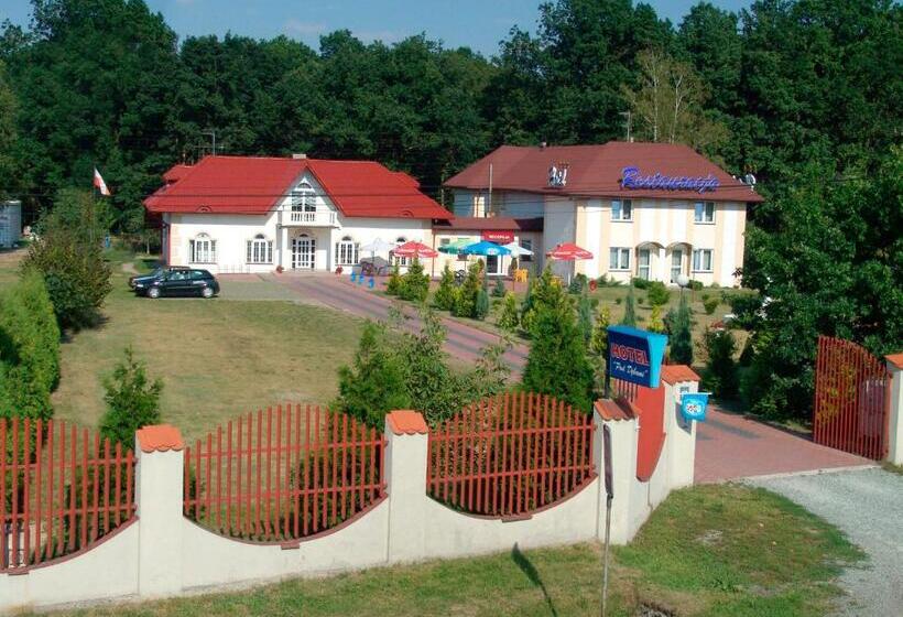 בית מלון כפרי Pod Dębami