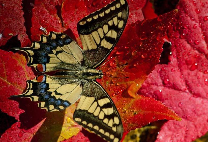 فندق Quinta Do Fontelo