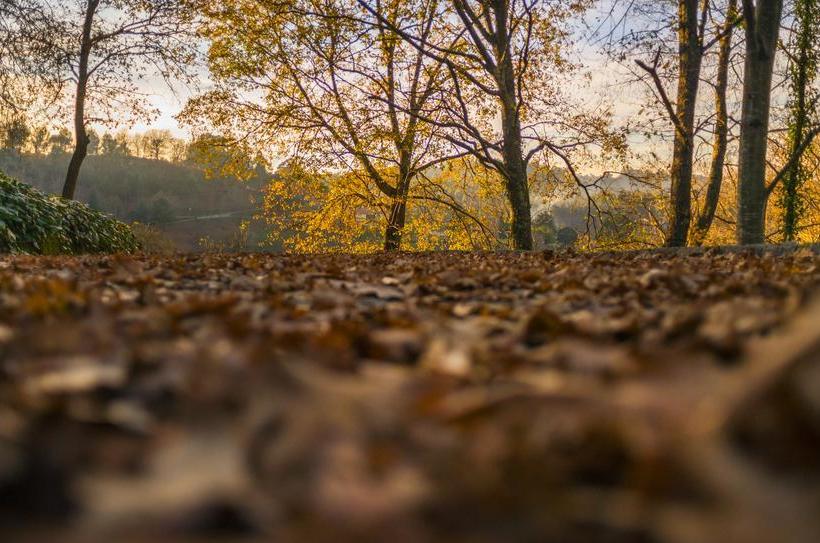 فندق Quinta Do Fontelo