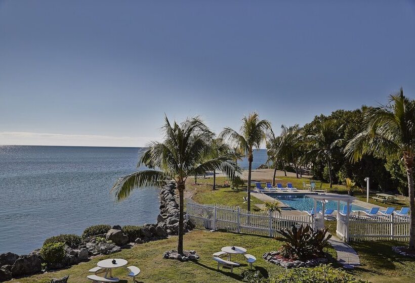 هتل Seascape Resort & Marina