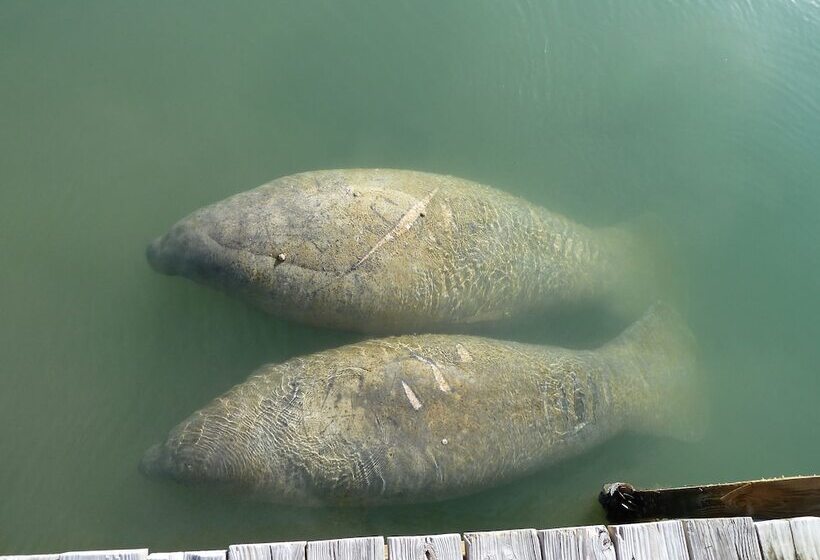 هتل Seascape Resort & Marina