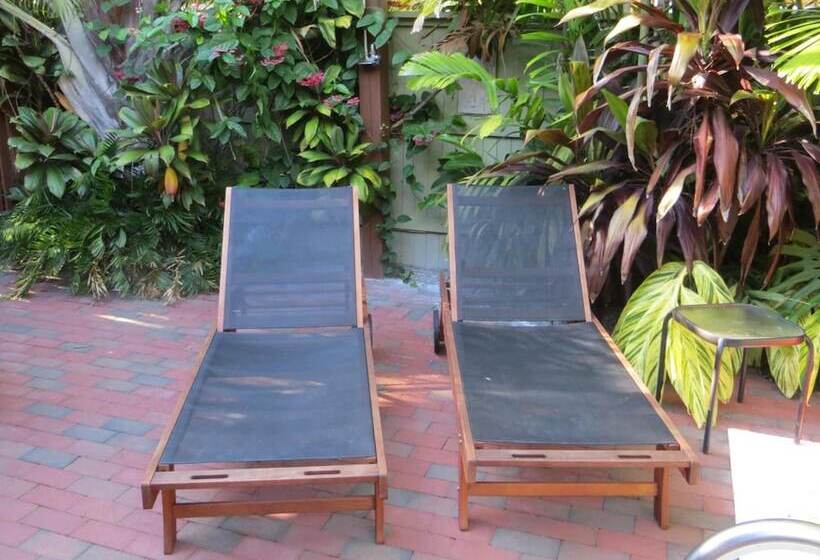 בית מלון כפרי Travelers Palm