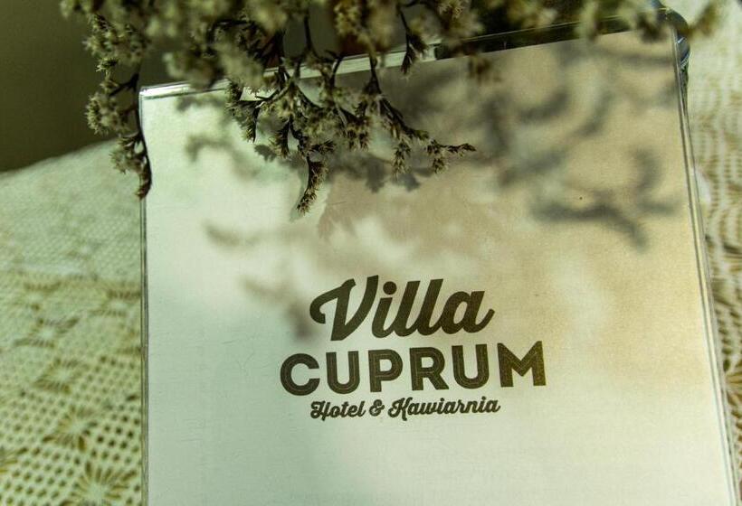 בית מלון כפרי Villa Cuprum