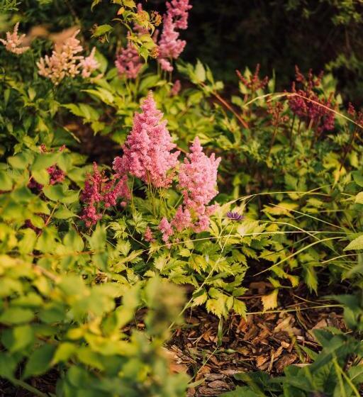 ホテル Winny Dworek