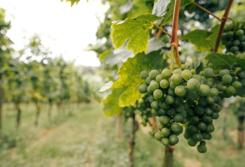 ホテル Winny Dworek