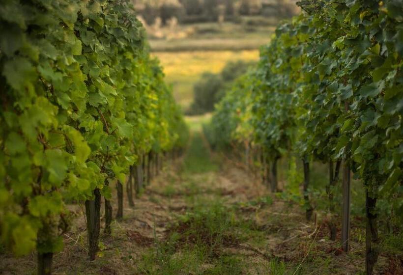 ホテル Winny Dworek