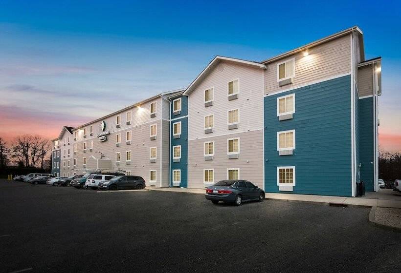 ホテル Woodspring Suites Lexington Southeast