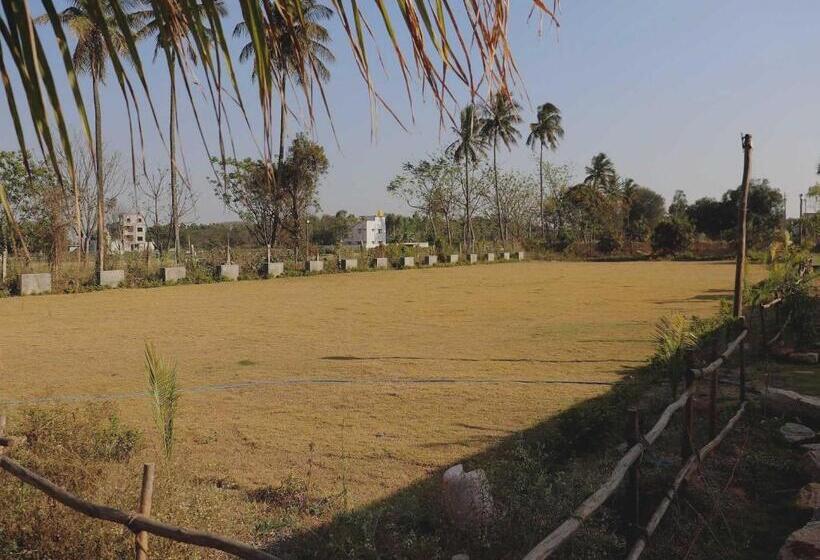 酒店 Collection O Golden Belize Farm Stays And Wedding Lawn