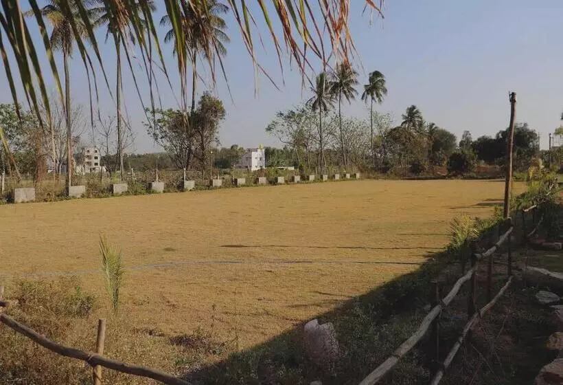 ホテル Collection O Golden Belize Farm Stays And Wedding Lawn