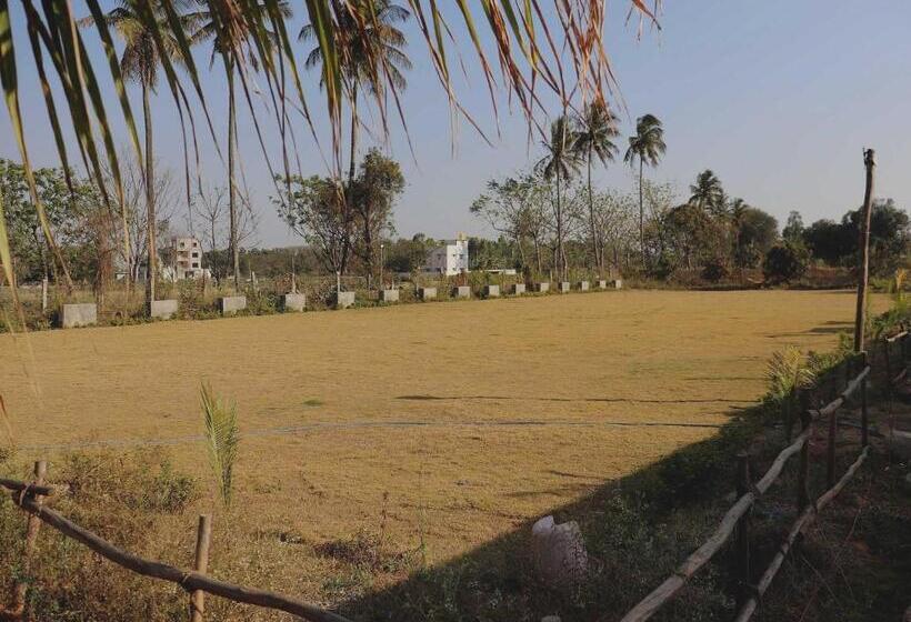 酒店 Collection O Golden Belize Farm Stays And Wedding Lawn