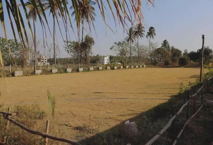 ホテル Collection O Golden Belize Farm Stays And Wedding Lawn