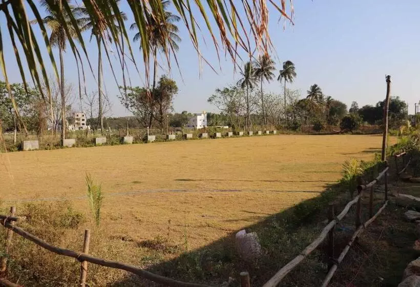 ホテル Collection O Golden Belize Farm Stays And Wedding Lawn