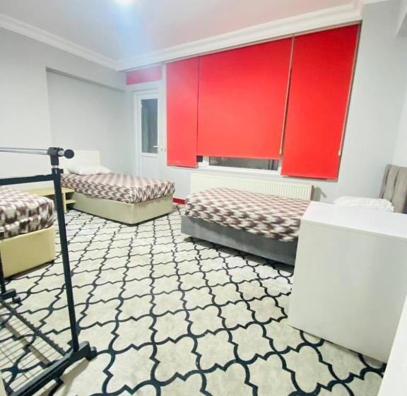 מלון כמוסות Transit