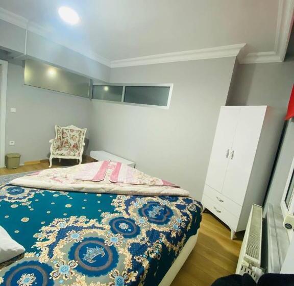 מלון כמוסות Transit