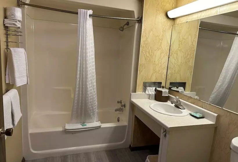 Hotelli Mountain Inn