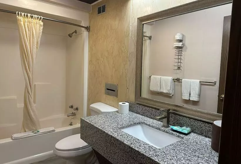 Hotelli Mountain Inn