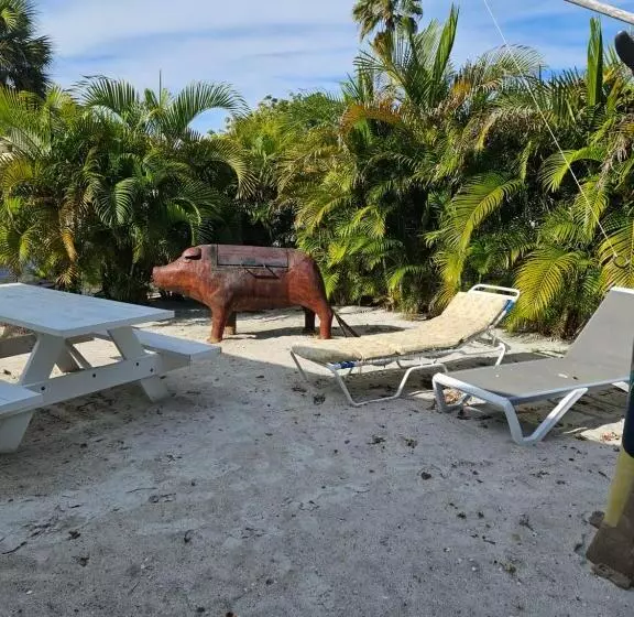 Hotelli Oasis Palms Resort