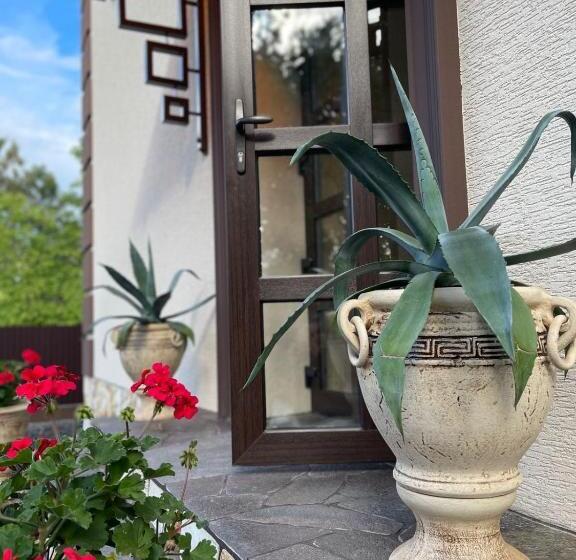 بنسيون комплекс сільдар