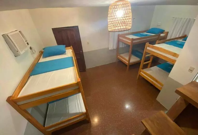 هاستل Toby House Siargao